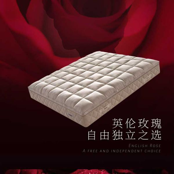 亚星游戏最新登录