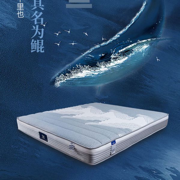 亚星游戏最新登录